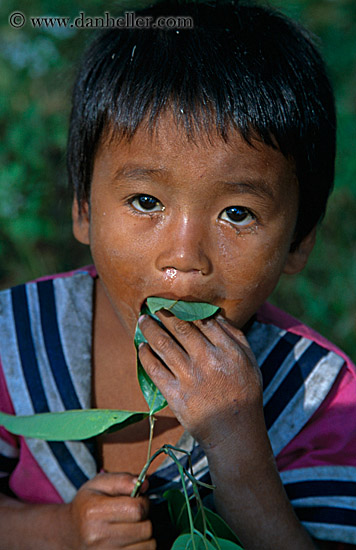 boy-eating-leaf-2.jpg