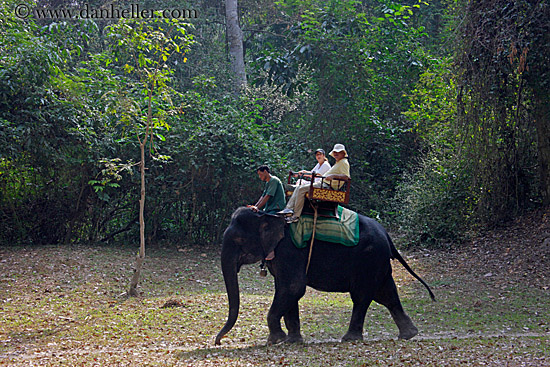 tourists-riding-elephants-01.jpg