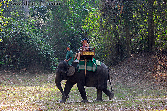 tourists-riding-elephants-02.jpg