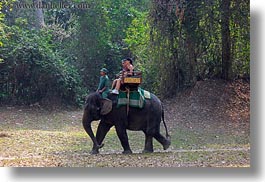asia, cambodia, elephant ride, elephants, horizontal, people, riding, tourists, photograph
