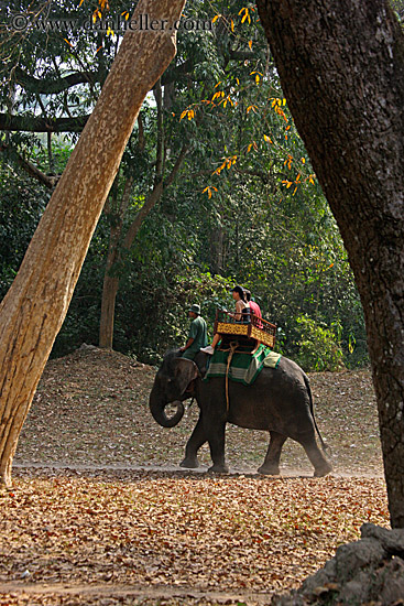 tourists-riding-elephants-04.jpg