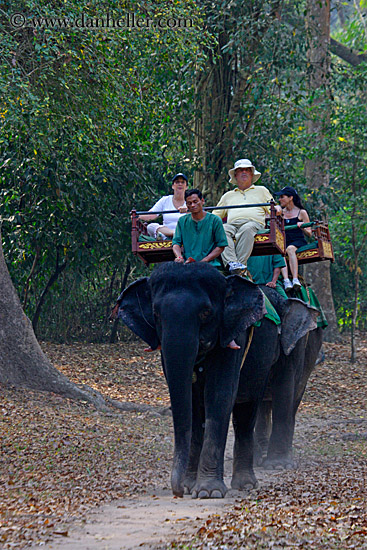 tourists-riding-elephants-05.jpg