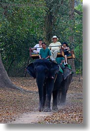 asia, cambodia, elephant ride, elephants, people, riding, tourists, vertical, photograph