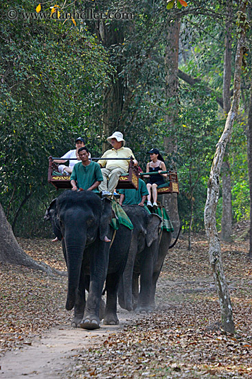 tourists-riding-elephants-06.jpg