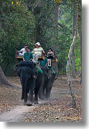 asia, cambodia, elephant ride, elephants, people, riding, tourists, vertical, photograph