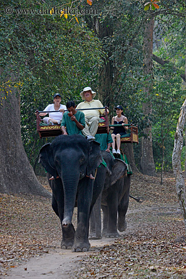 tourists-riding-elephants-07.jpg