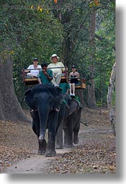 asia, cambodia, elephant ride, elephants, people, riding, tourists, vertical, photograph