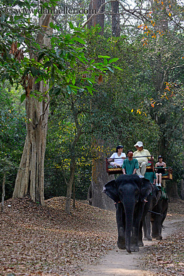 tourists-riding-elephants-08.jpg