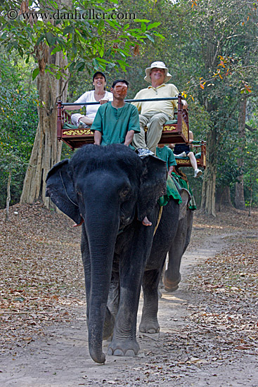 tourists-riding-elephants-09.jpg