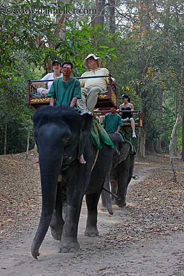 tourists-riding-elephants-10.jpg