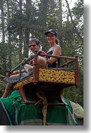 asia, cambodia, elephant ride, elephants, people, riding, tourists, vertical, photograph