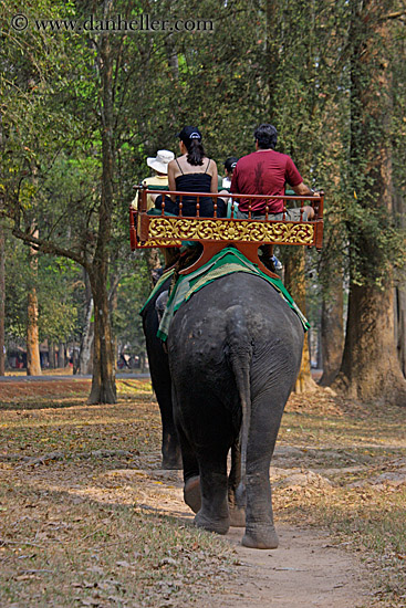 tourists-riding-elephants-12.jpg