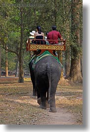 asia, cambodia, elephant ride, elephants, people, riding, tourists, vertical, photograph