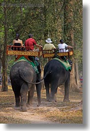 images/Asia/Cambodia/People/ElephantRide/tourists-riding-elephants-13.jpg
