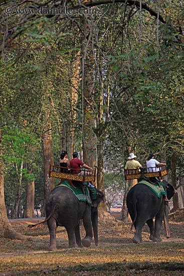 tourists-riding-elephants-14.jpg