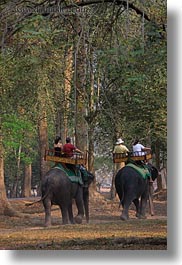 images/Asia/Cambodia/People/ElephantRide/tourists-riding-elephants-14.jpg
