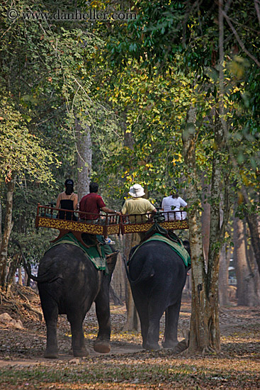 tourists-riding-elephants-15.jpg
