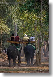 images/Asia/Cambodia/People/ElephantRide/tourists-riding-elephants-15.jpg