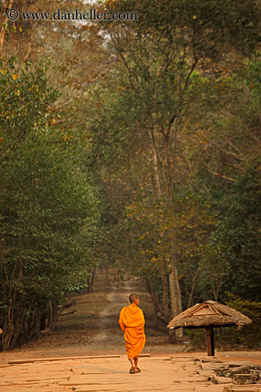 monk-walking-down-tree-lined-path.jpg