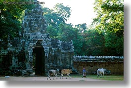 images/Asia/Cambodia/PreahKhan/entry-gate-6.jpg