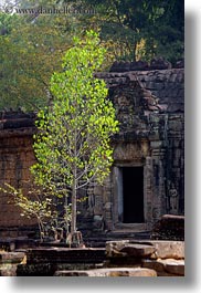 asia, cambodia, doors, green, preah khan, trees, vertical, photograph