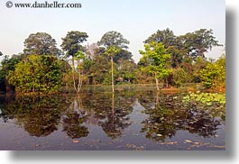 asia, cambodia, horizontal, landscapes, reflections, scenics, trees, water, photograph