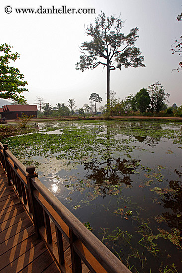 tree-reflections-in-water-7.jpg