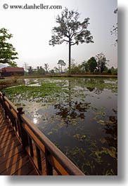 asia, cambodia, landscapes, reflections, scenics, trees, vertical, water, photograph