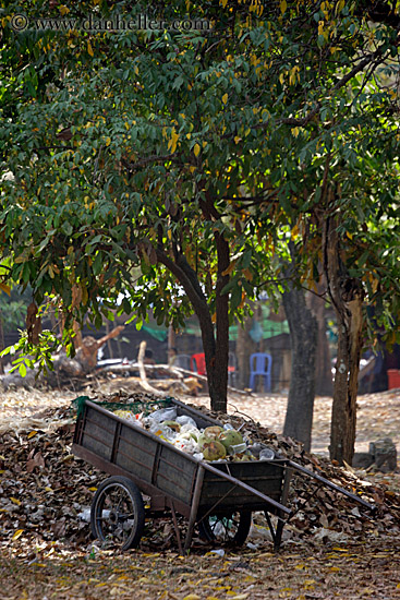 wheel-barrow.jpg