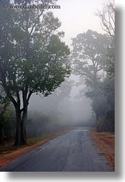 images/Asia/Cambodia/Scenics/Roads/road-n-foggy-trees-1.jpg