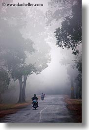 images/Asia/Cambodia/Scenics/Roads/vehicles-on-foggy-tree-lined-road-03.jpg
