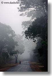 images/Asia/Cambodia/Scenics/Roads/vehicles-on-foggy-tree-lined-road-04.jpg