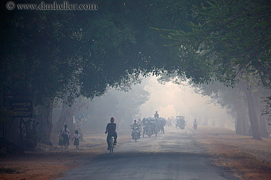 vehicles-on-foggy-tree-lined-road-05.jpg