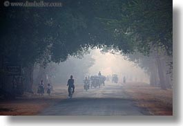 images/Asia/Cambodia/Scenics/Roads/vehicles-on-foggy-tree-lined-road-05.jpg