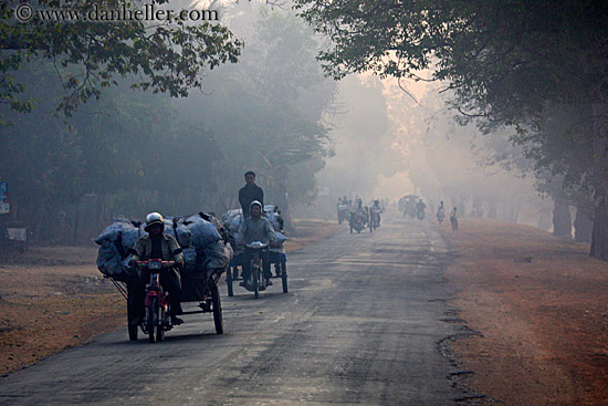 vehicles-on-foggy-tree-lined-road-06.jpg