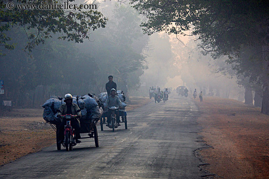 vehicles-on-foggy-tree-lined-road-06.jpg