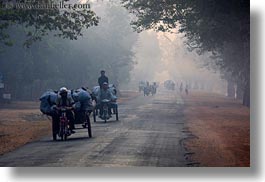 images/Asia/Cambodia/Scenics/Roads/vehicles-on-foggy-tree-lined-road-06.jpg
