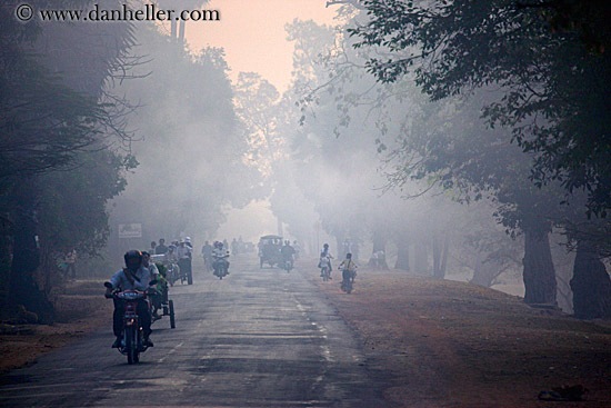 vehicles-on-foggy-tree-lined-road-07.jpg