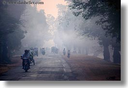 images/Asia/Cambodia/Scenics/Roads/vehicles-on-foggy-tree-lined-road-07.jpg