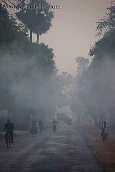 vehicles-on-foggy-tree-lined-road-08.jpg