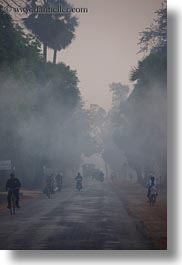 asia, cambodia, foggy, lined, roads, scenics, trees, vehicles, vertical, photograph