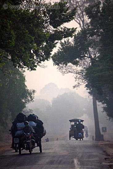 vehicles-on-foggy-tree-lined-road-09.jpg