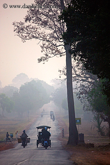 vehicles-on-foggy-tree-lined-road-10.jpg