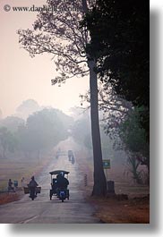 asia, cambodia, foggy, lined, roads, scenics, trees, vehicles, vertical, photograph