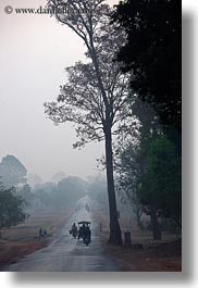 images/Asia/Cambodia/Scenics/Roads/vehicles-on-foggy-tree-lined-road-11.jpg