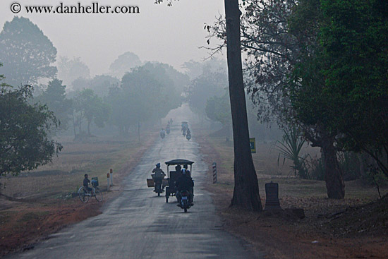 vehicles-on-foggy-tree-lined-road-11a.jpg