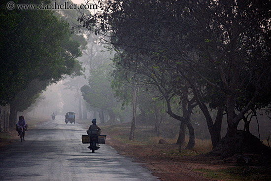 vehicles-on-foggy-tree-lined-road-12.jpg