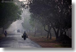 images/Asia/Cambodia/Scenics/Roads/vehicles-on-foggy-tree-lined-road-12.jpg