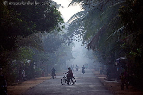 vehicles-on-foggy-tree-lined-road-13.jpg