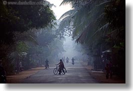 images/Asia/Cambodia/Scenics/Roads/vehicles-on-foggy-tree-lined-road-13.jpg
